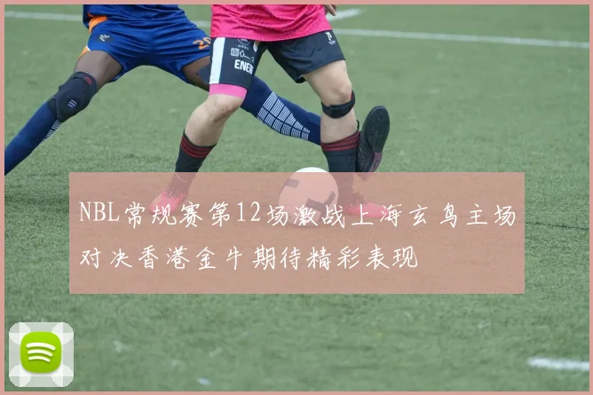 NBL常规赛第12场激战上海玄鸟主场对决香港金牛期待精彩表现