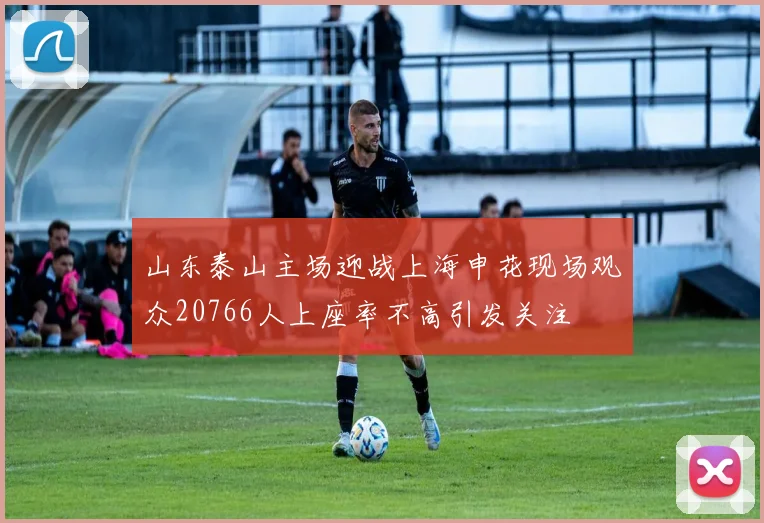 山东泰山主场迎战上海申花现场观众20766人上座率不高引发关注