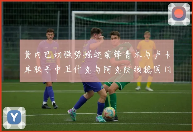 费内巴切强势崛起前锋青木与卢卡库联手中卫什克与阿克防线稳固门将埃德松实力不容小觑
